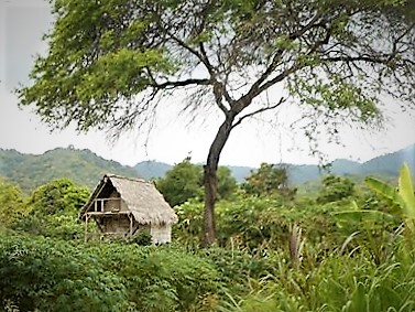 Tiny-House-Ecuador-.jpg